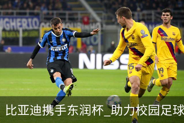 比亚迪携手东润杯 助力校园足球少年圆梦工体