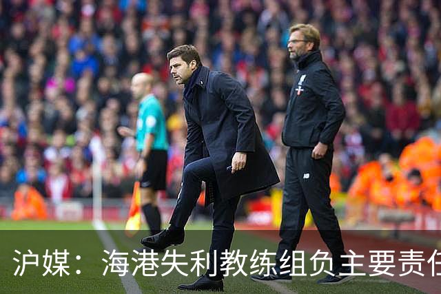 沪媒：海港失利教练组负主要责任，应确保实力强的外援应上尽上