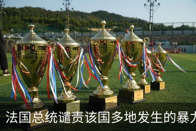 法国总统谴责该国多地发生的暴力事件