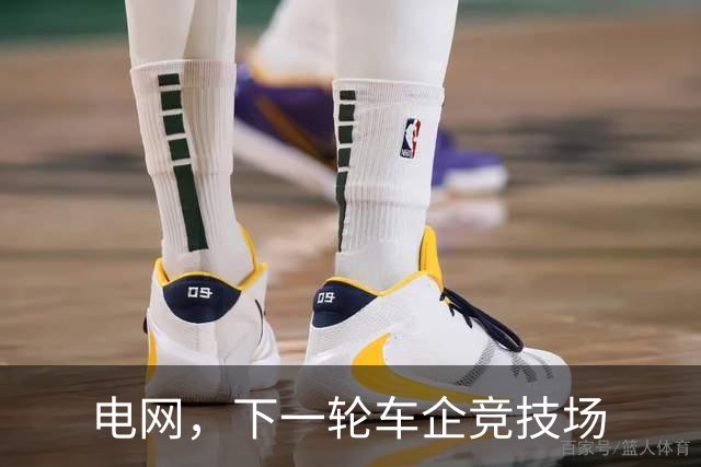 电网，下一轮车企竞技场