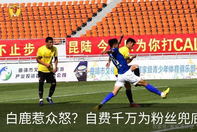白鹿惹众怒？自费千万为粉丝兜底遭围攻，看清内幕才知她有多清醒