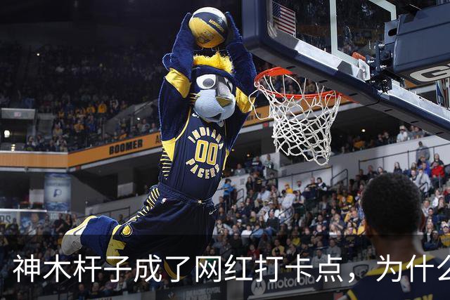神木杆子成了网红打卡点，为什么要围起来？